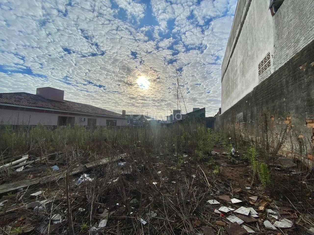 tTerreno de 429m² em Capoeiras - Foto 2