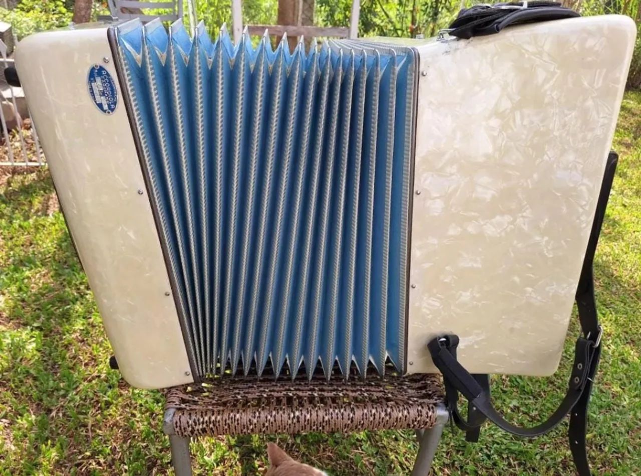 Acordeon 120 baixos em 5a.de Voz - Foto 4