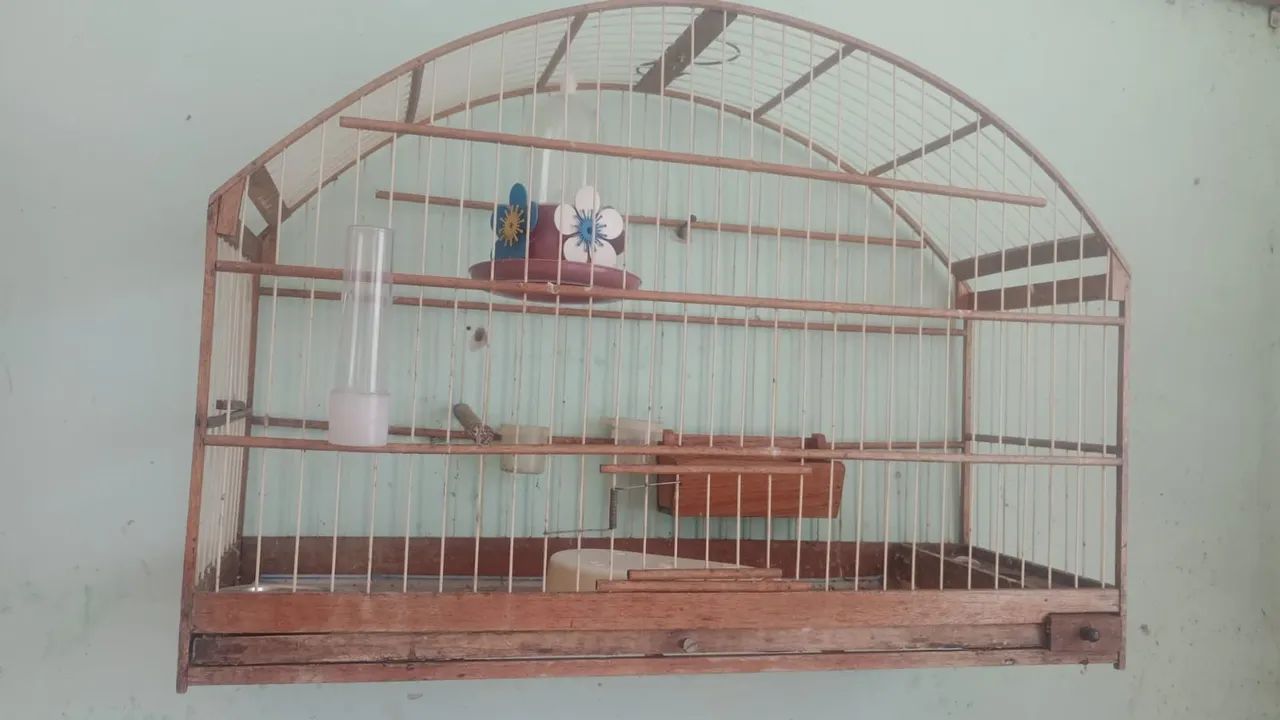 Gaiola pra trinca ferro