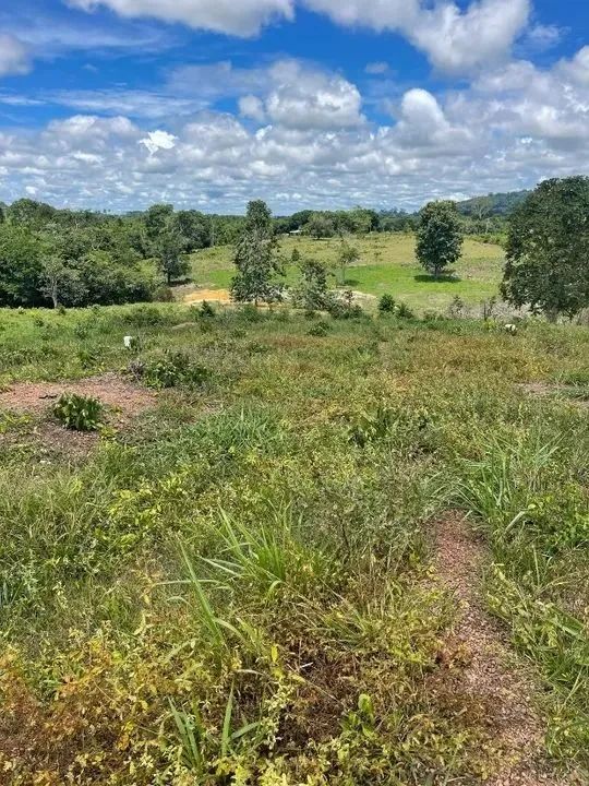 Propriedade rural de 120 hectares em Roraima/Rorainopolis  - Foto 4