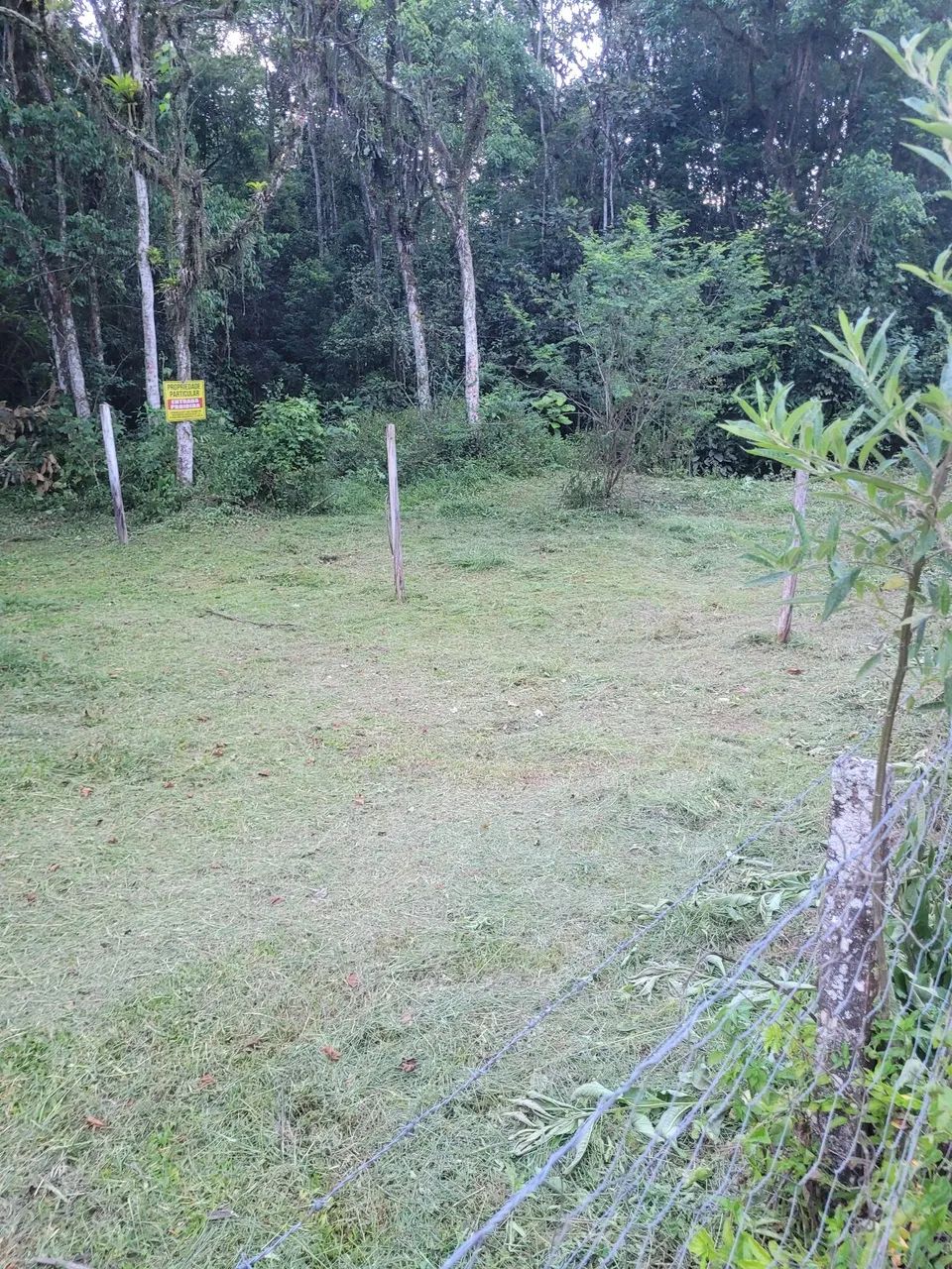 Linda chácara na paciência  - Foto 3