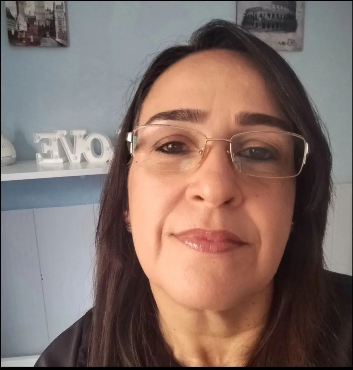 Vendedora Diarista 