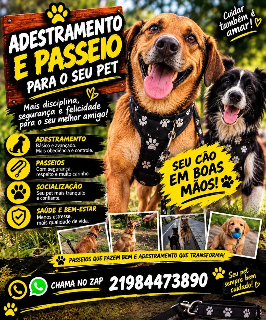 Passeio e adestramento de cachorros ! - Foto 5