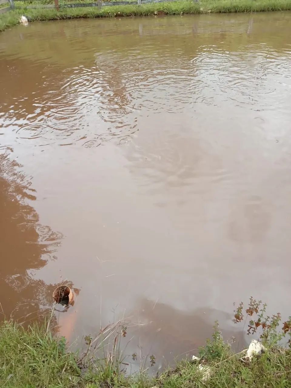 Pesqueiro a venda - Foto 3
