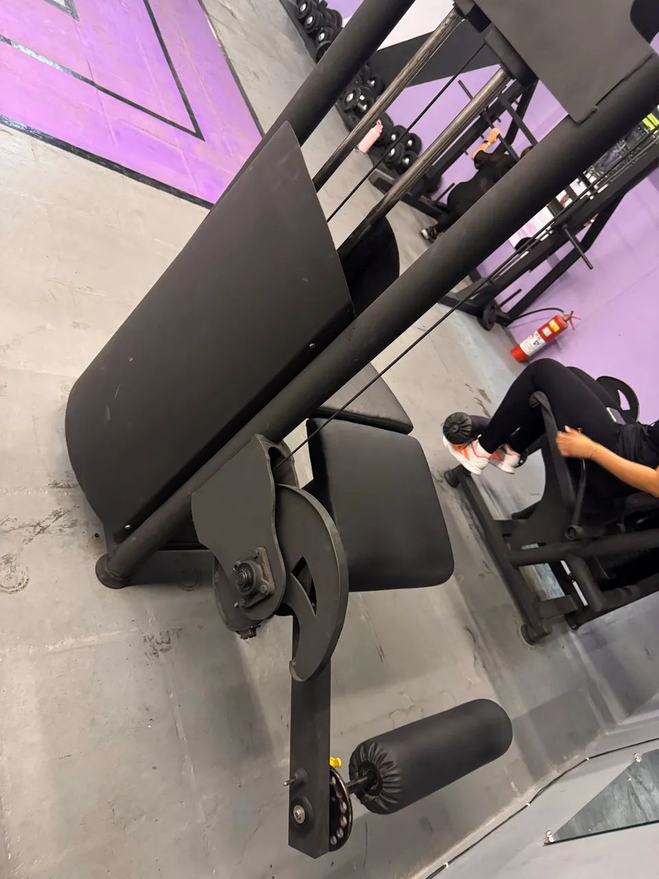 Mesa flexora  - Foto 2