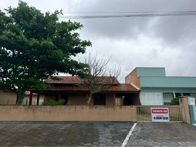 Foto - Tubarão - São Martinho