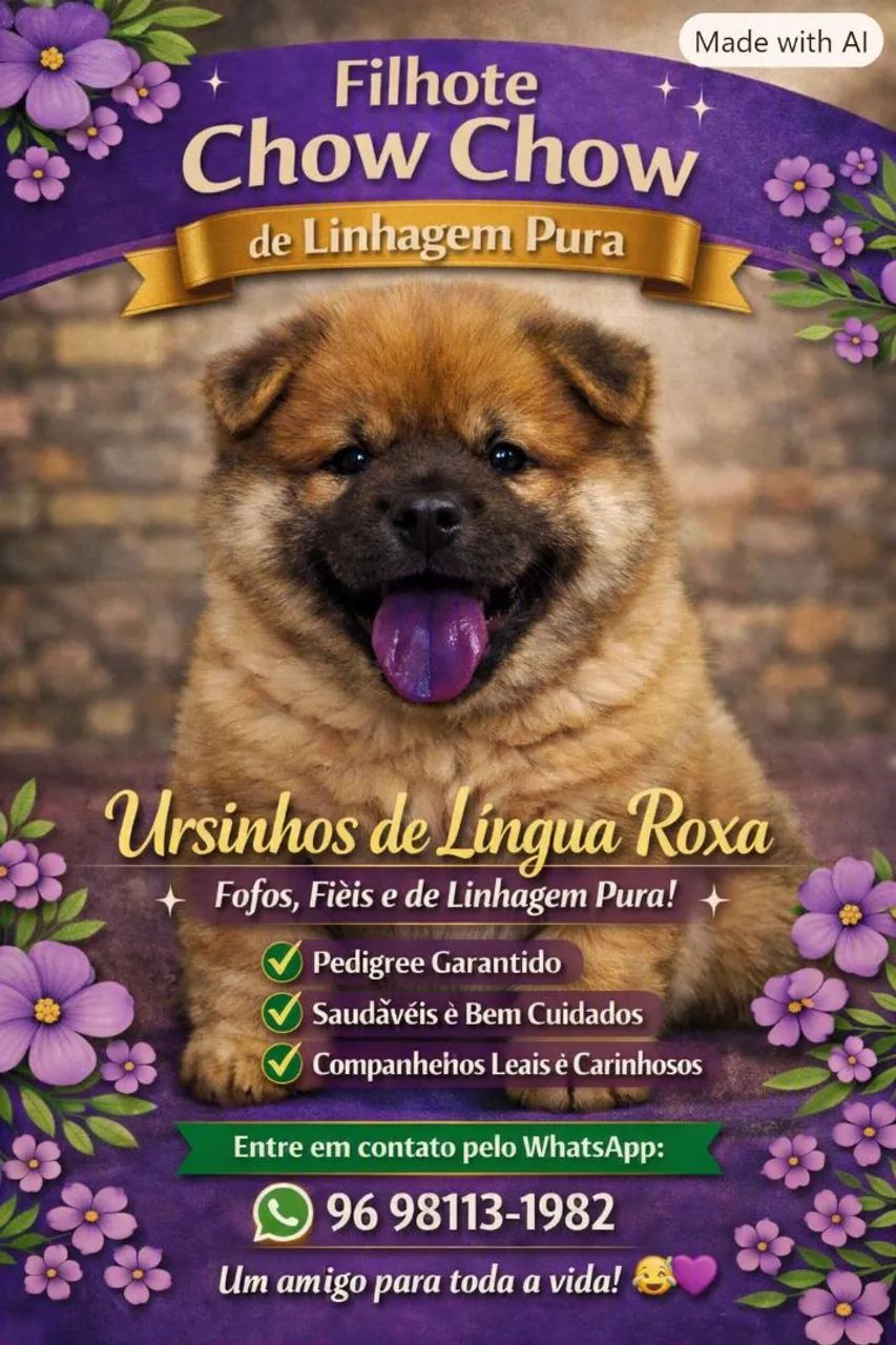 Filhote Chow Chow 