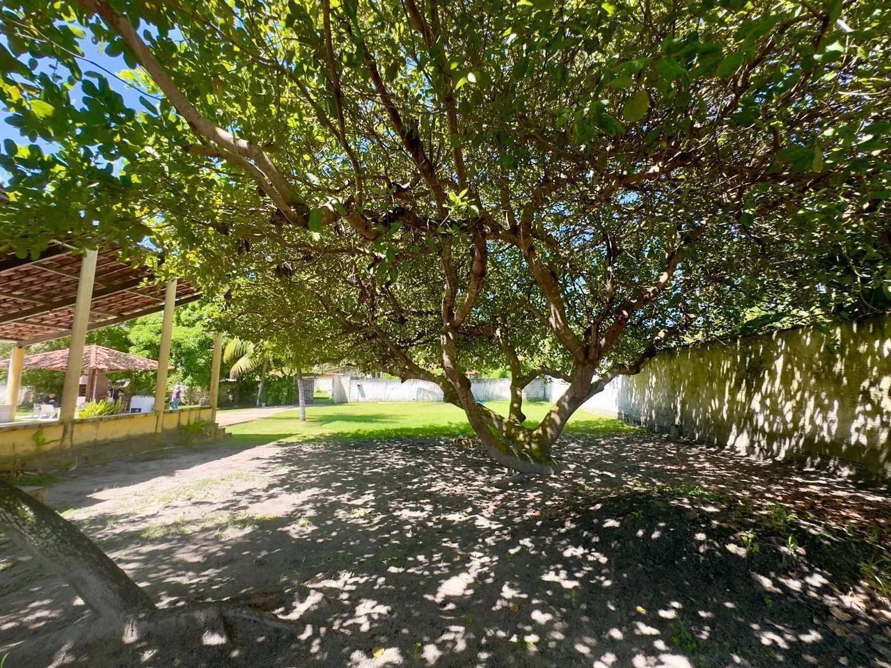 Alugo p/ Carnaval - TABUBA - Foto 3