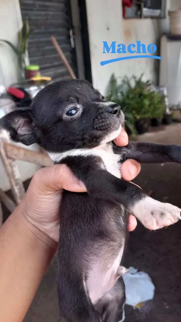 Doação 