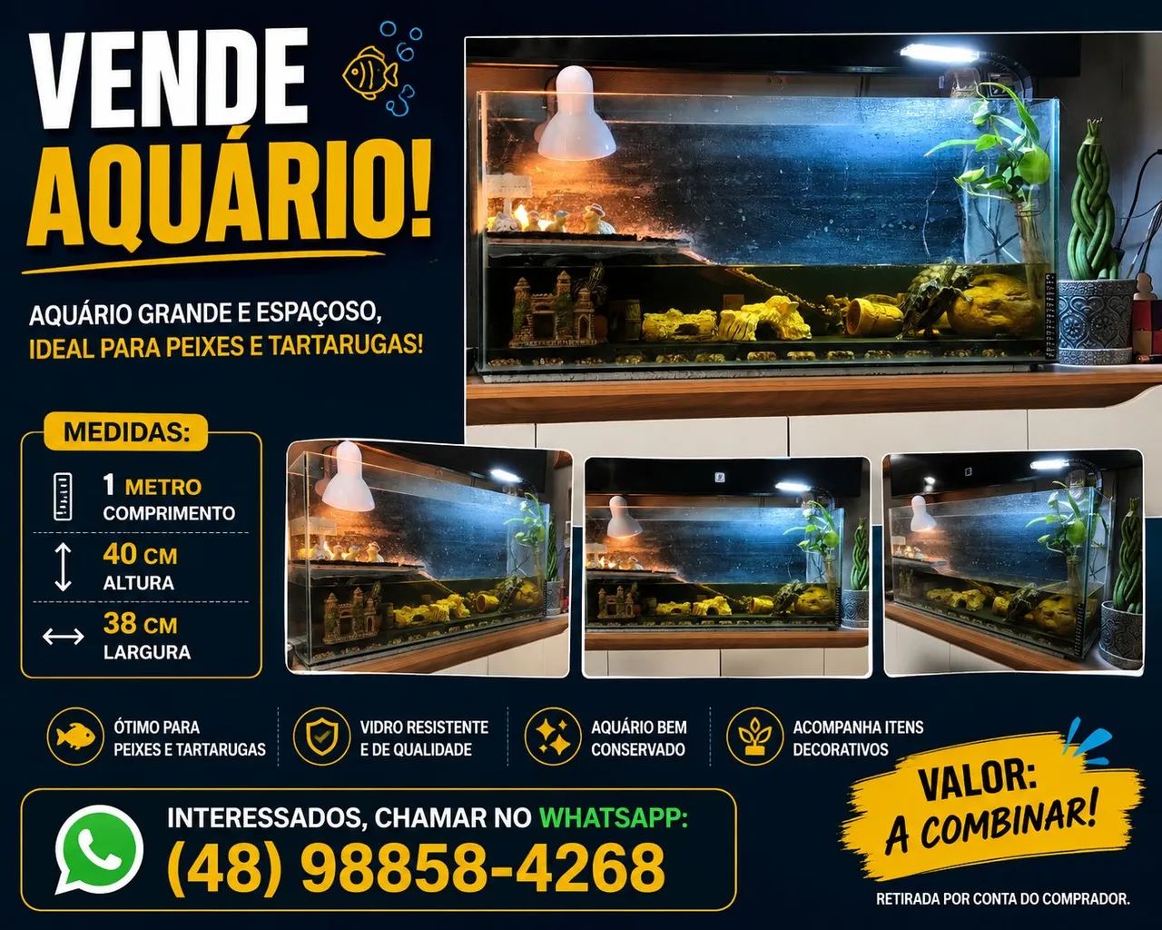 Aquário grande 