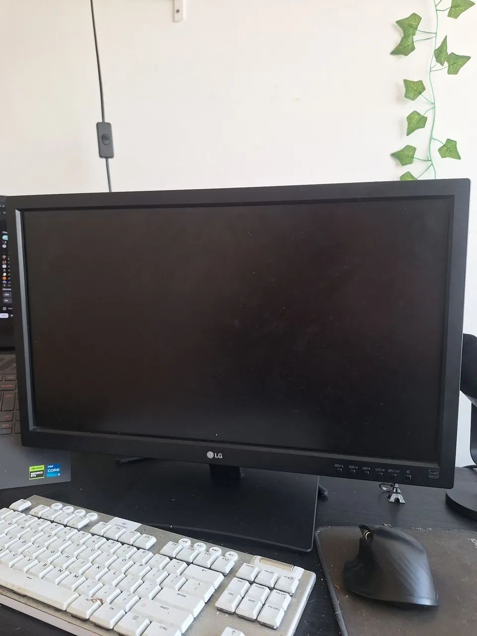 Monitor Lg 24 pol 60hz
