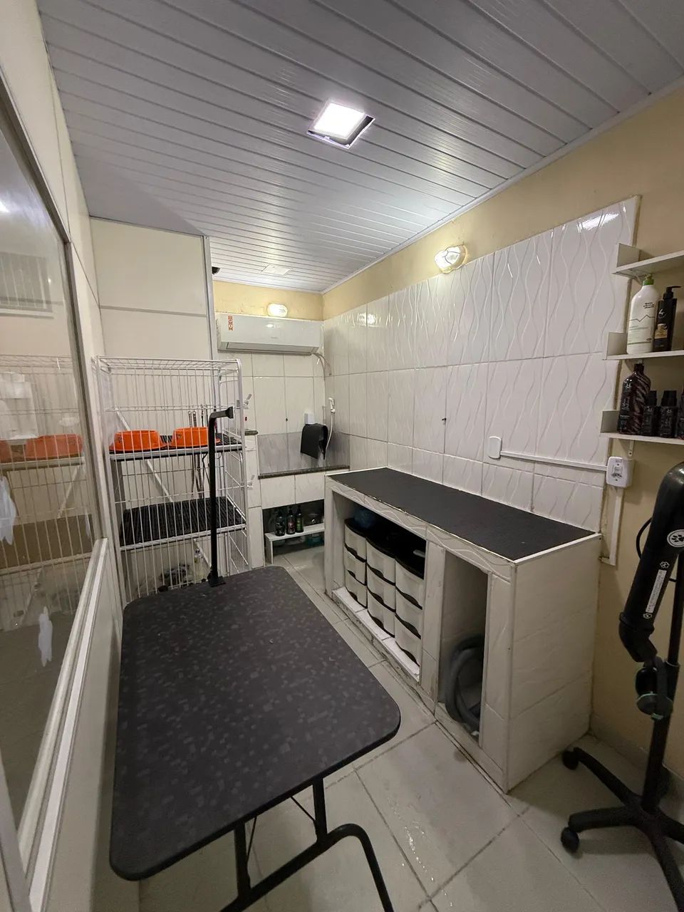 Passo ponto Petshop São Gonçalo Mutondo  - Foto 4