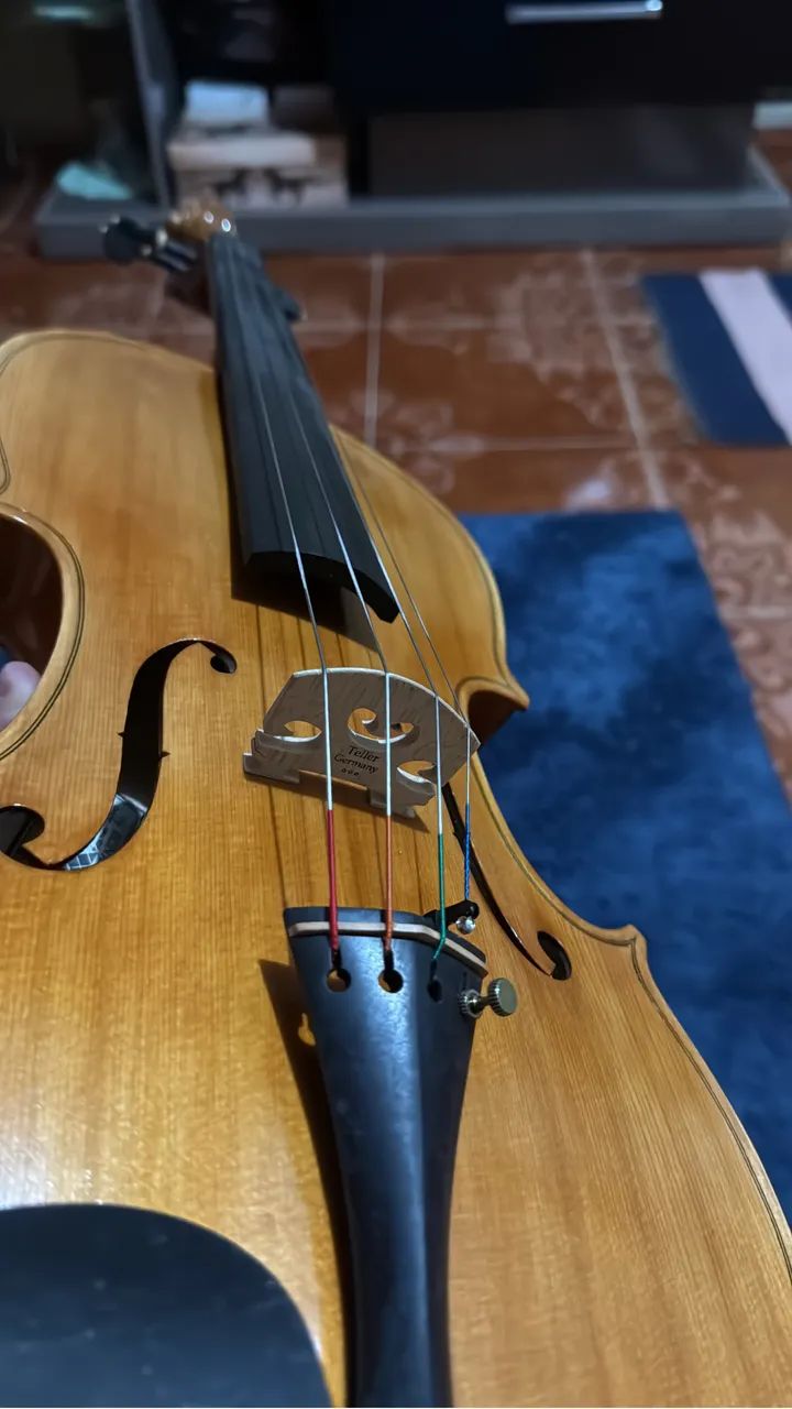 Viola de arco 