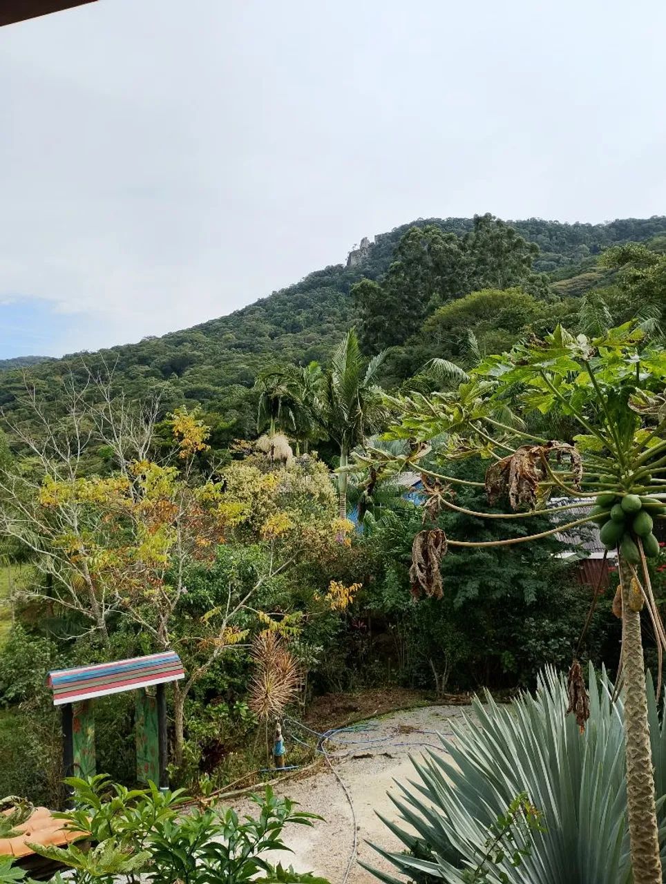 Vendo ( por necessidade) terreno com casa- GAROPABA.  - Foto 4