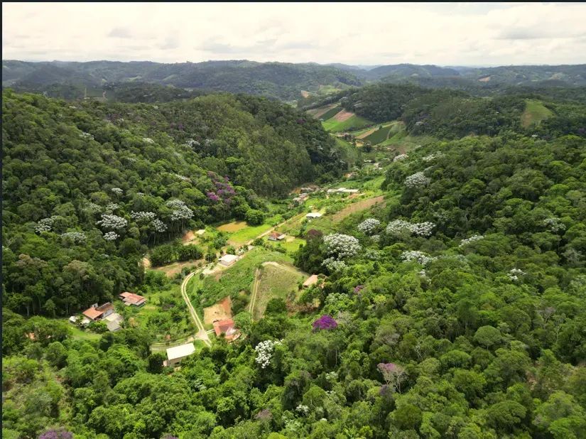 Sítio à venda em Melgaço, Domingos Martins - Foto 2