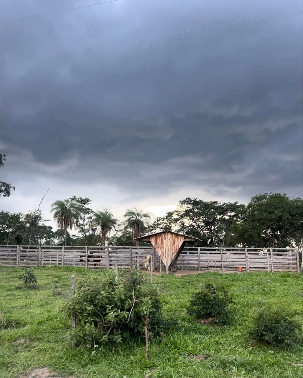 Fazenda Produtiva - Foto 7