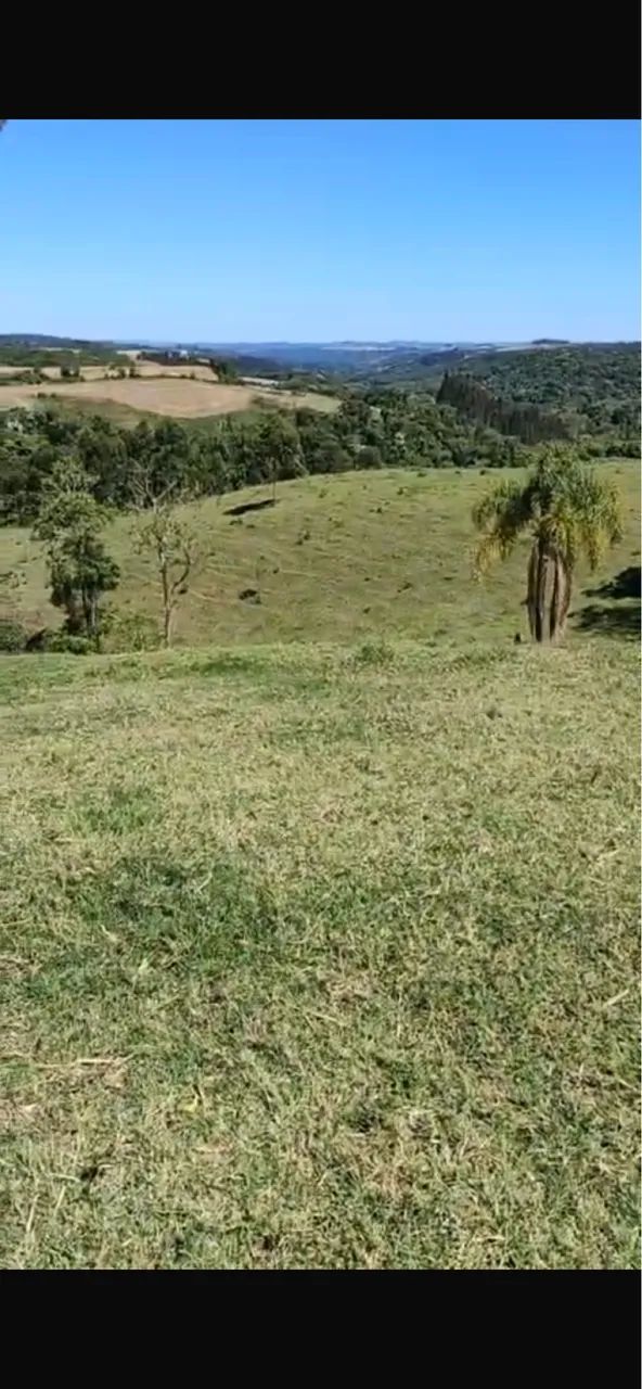 Vendo um sítio - Foto 3