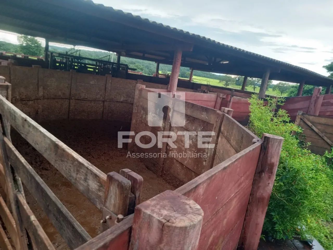 Fazenda a venda em Goiatins no Tocantins - Foto 4