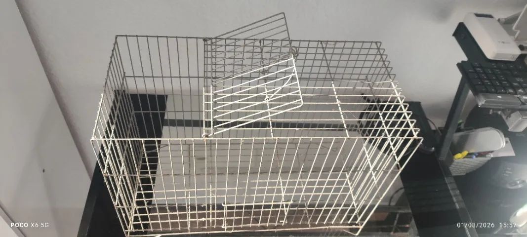 Gaiola passarinho - Foto 3