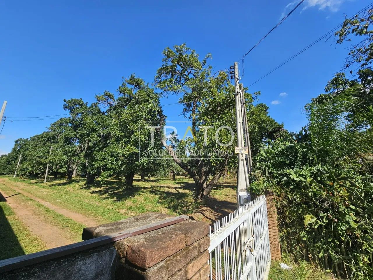 área - Barão Geraldo - Campinas - Foto 3