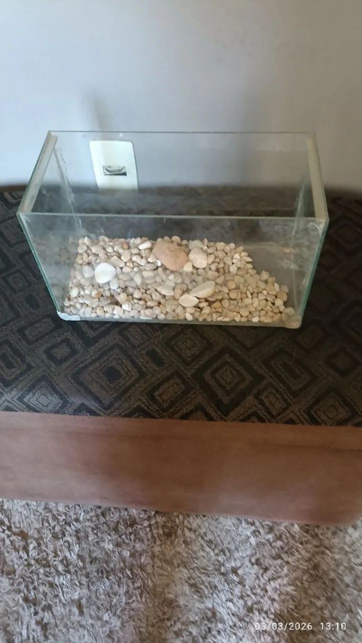 Aquário Compacto - Cabe em Qualquer Cantinho da Casa - Foto 5