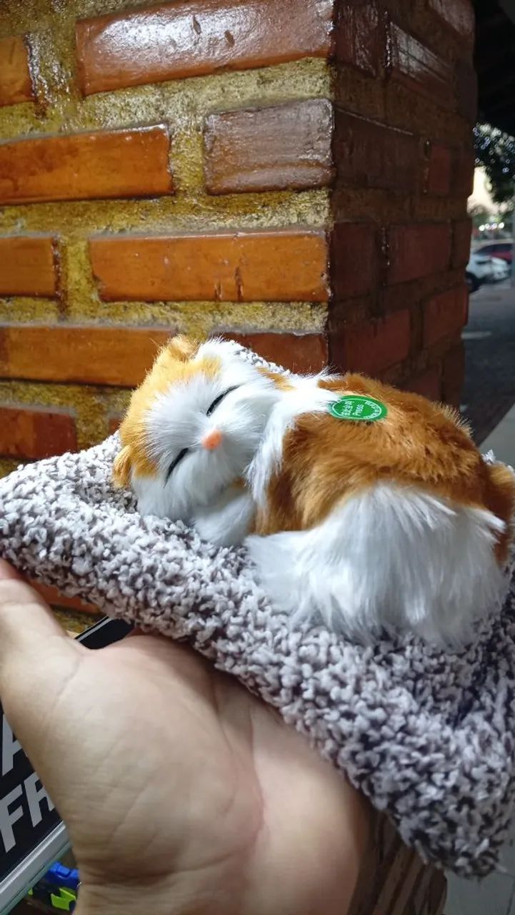 Gato miniatura de pelúcia 