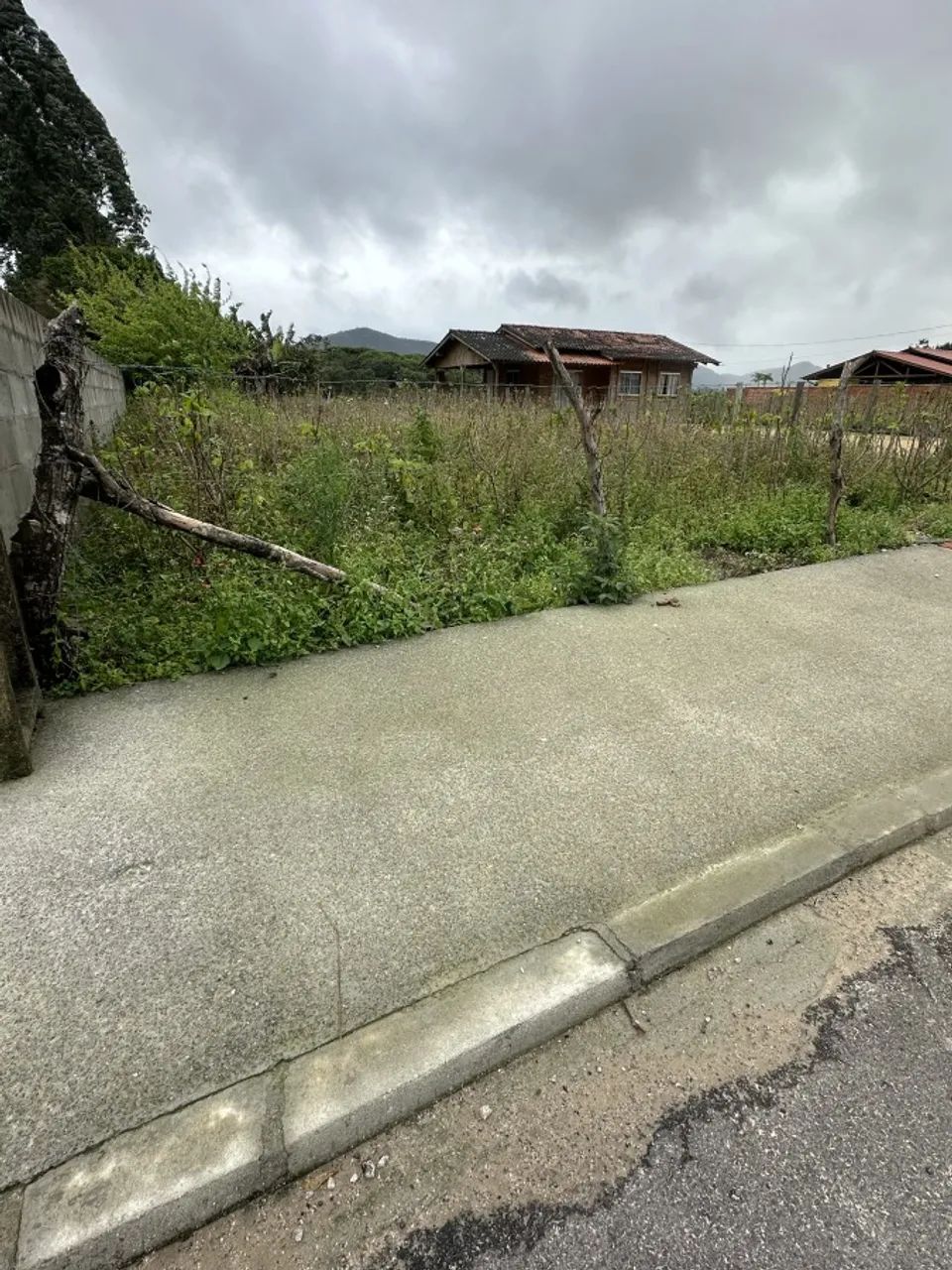 Lote para Venda em Paulo Lopes, Areias - Foto 5
