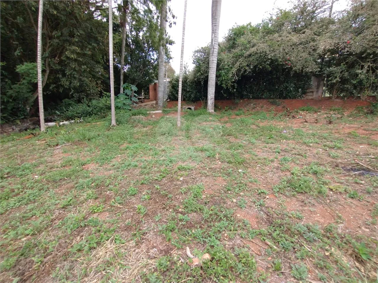 Terreno à venda em Jardim brasil - SP - Foto 2