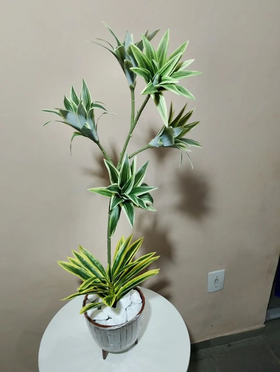lindo arranjo de dracena brasileirinho permanente - Foto 3