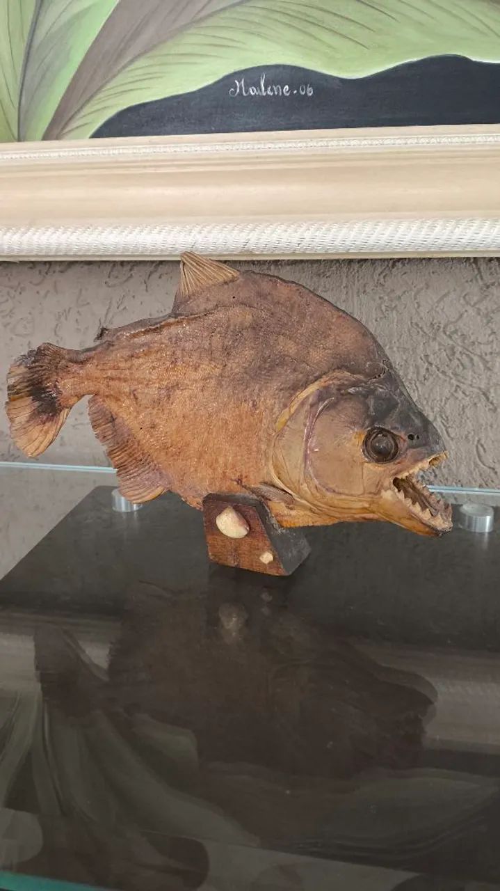 Decoração