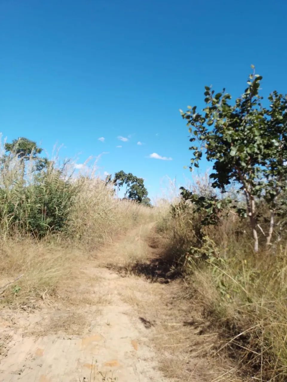 Terreno a venda  - Foto 3