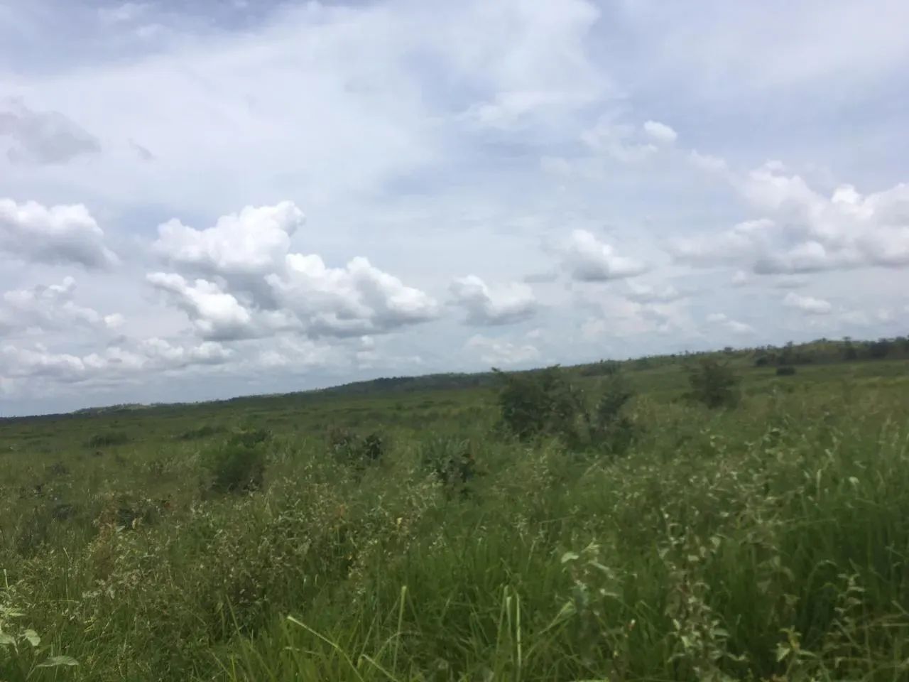 Fazenda a venda em Goiatins - TO - Foto 5