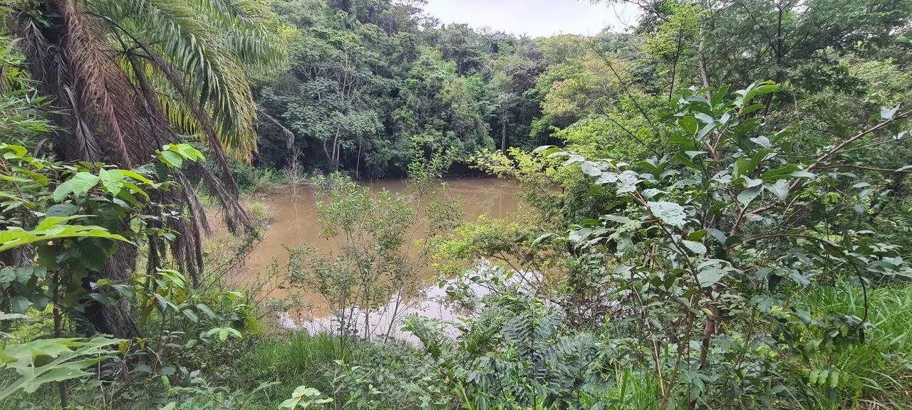 Sítio para Venda em Mateus Leme, Anchieta, 1 dormitório, 1 banheiro, 6 vagas - Foto 5