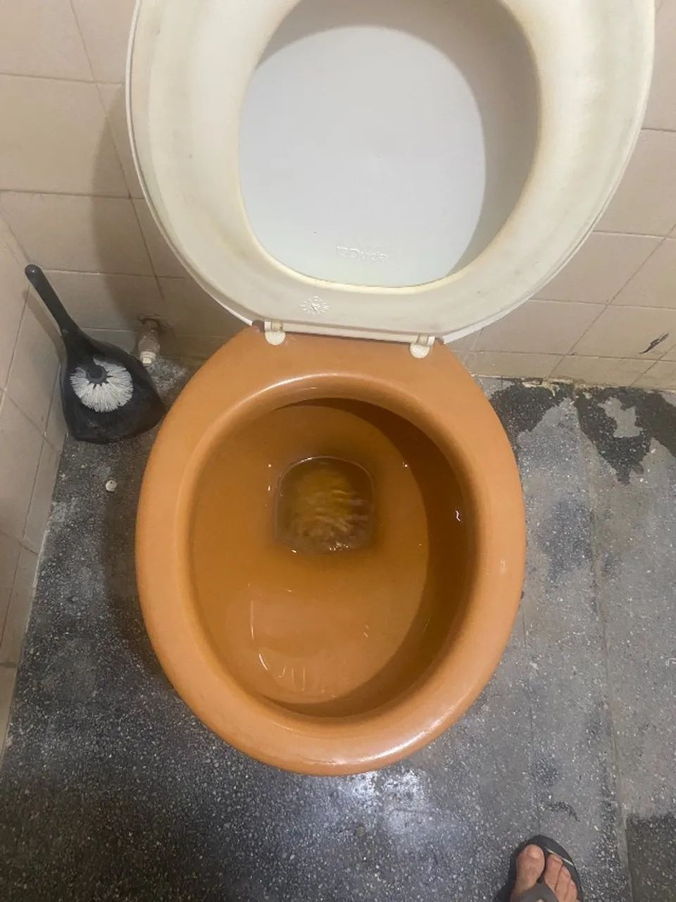 Vaso sanitário convencional 