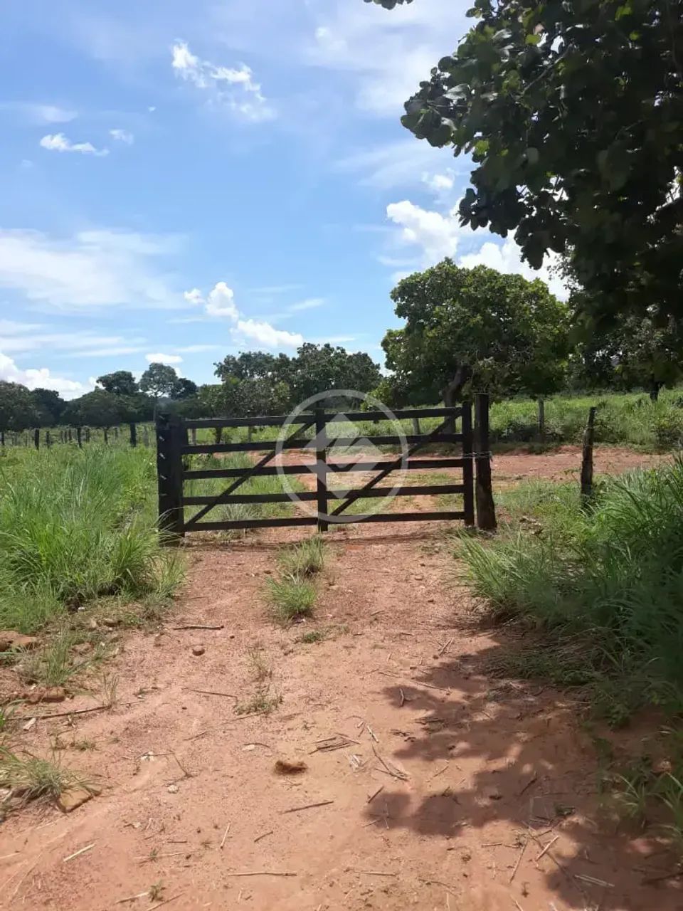 FAZENDA EM SÃO SALVADOR NO TOCANTINS codigo: 153009 - Foto 3