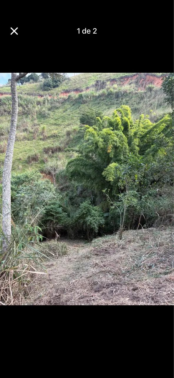 Foto - Volta Redonda - Santa Cruz