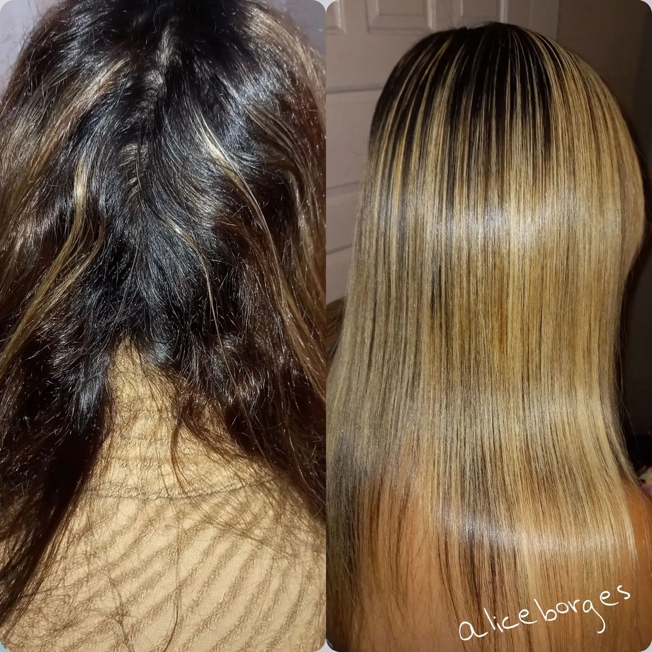 Selagem e outros (Promoção) - Foto 2