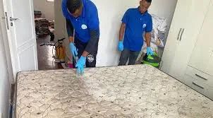 Fortal Serviços - Lavagem a Seco  - Foto 3