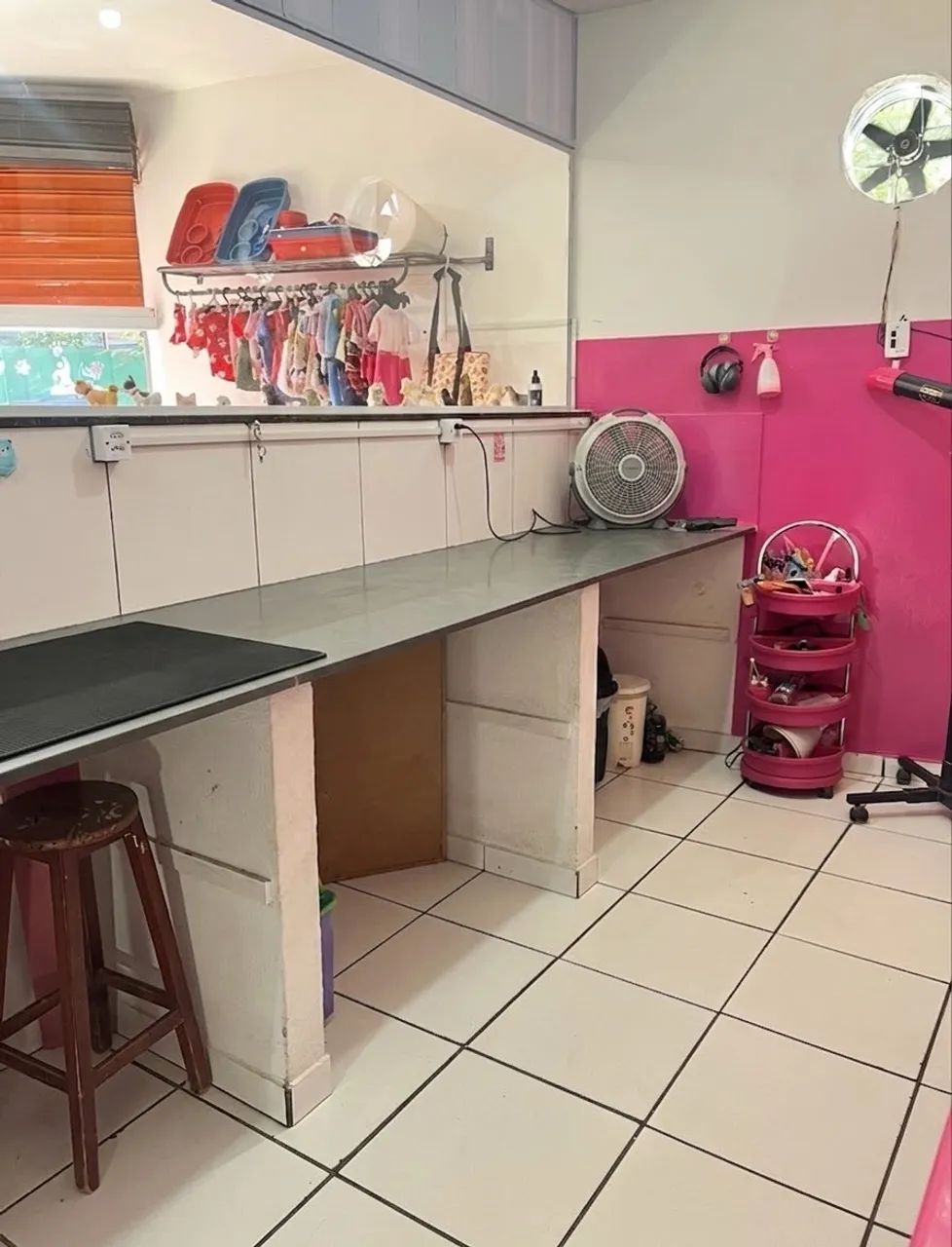 Pet Shop à venda- Passo Ponto - Foto 2