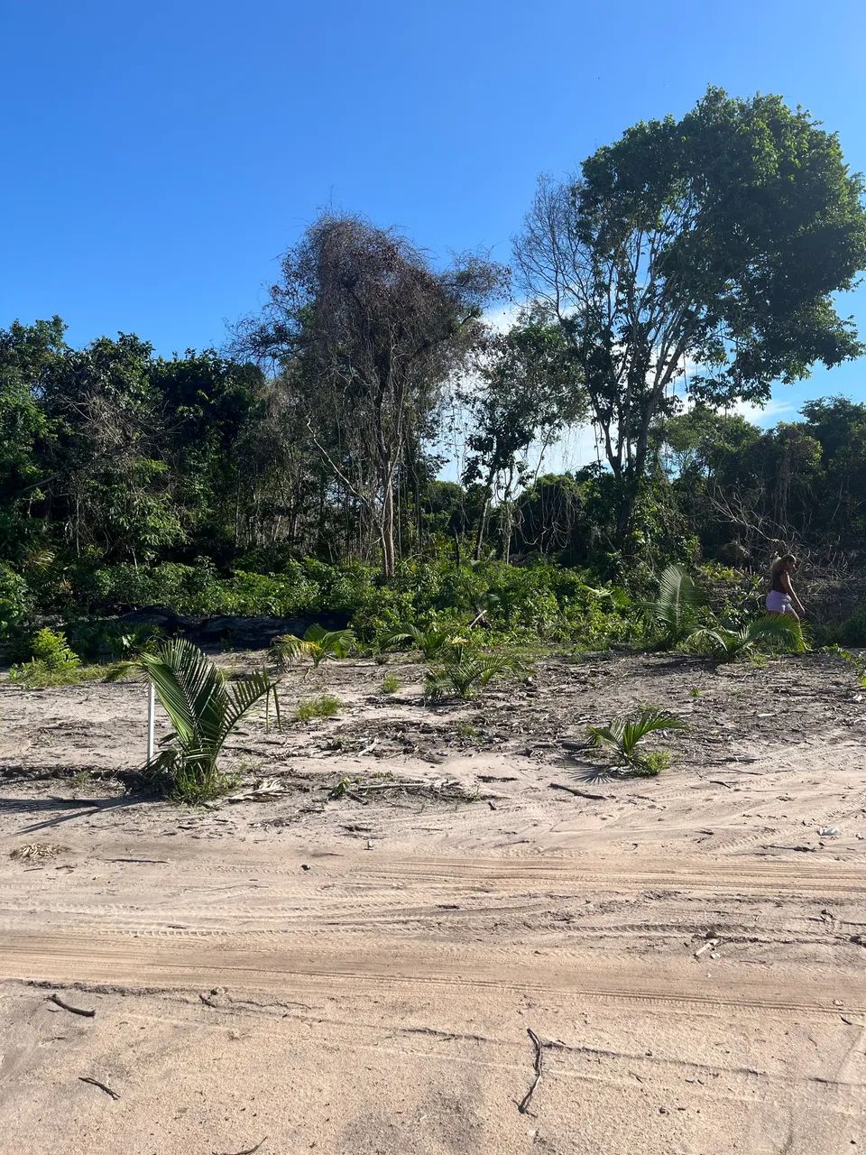 Terreno no ramal dos coelhos  - Foto 2