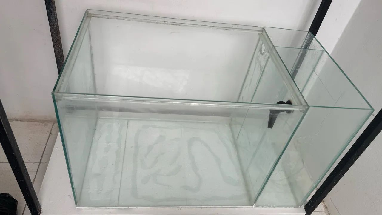 Aquário 