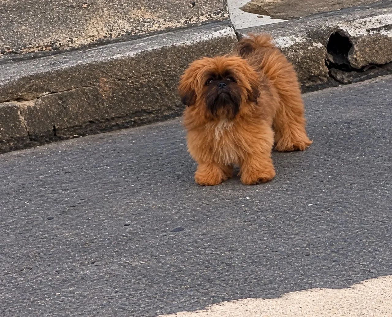 Namorada pra o Rakan  - Foto 2