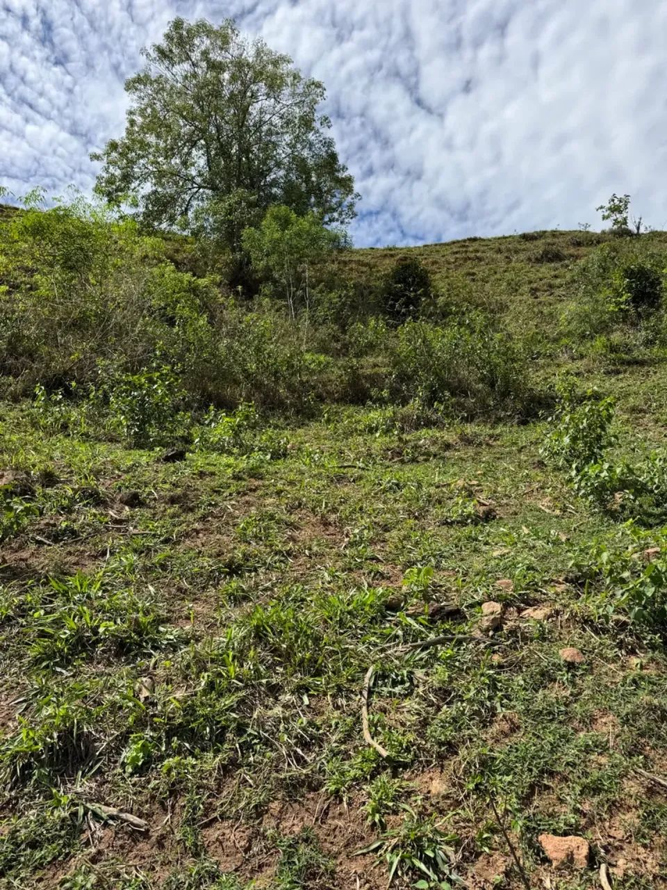 Excelente sítio em Jabaquara - Anchieta ES - Foto 2