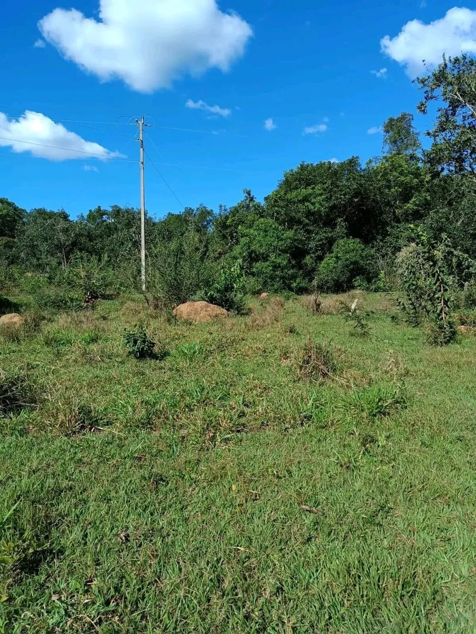 Fazenda barata ? presidente Olegário 