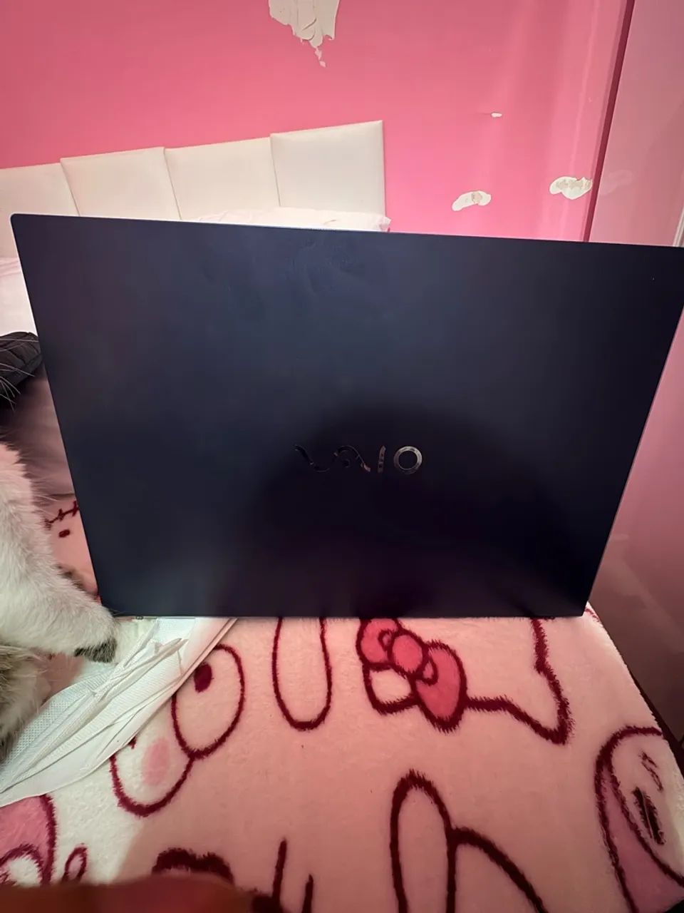 Notebook vaio - Foto 2