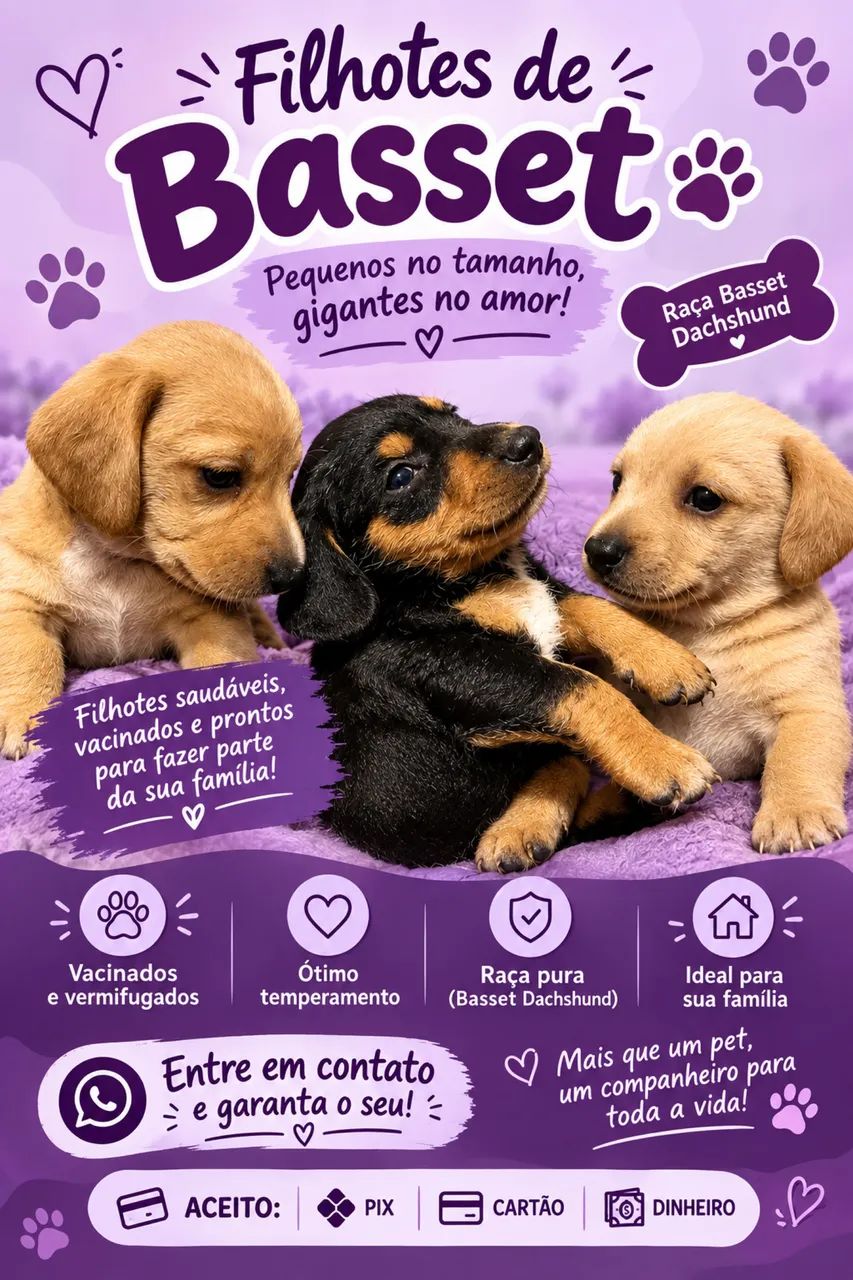 Cachorro