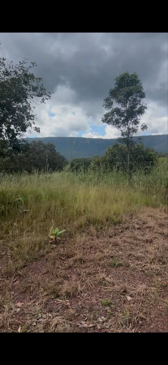 Venda de área rural  - Foto 3