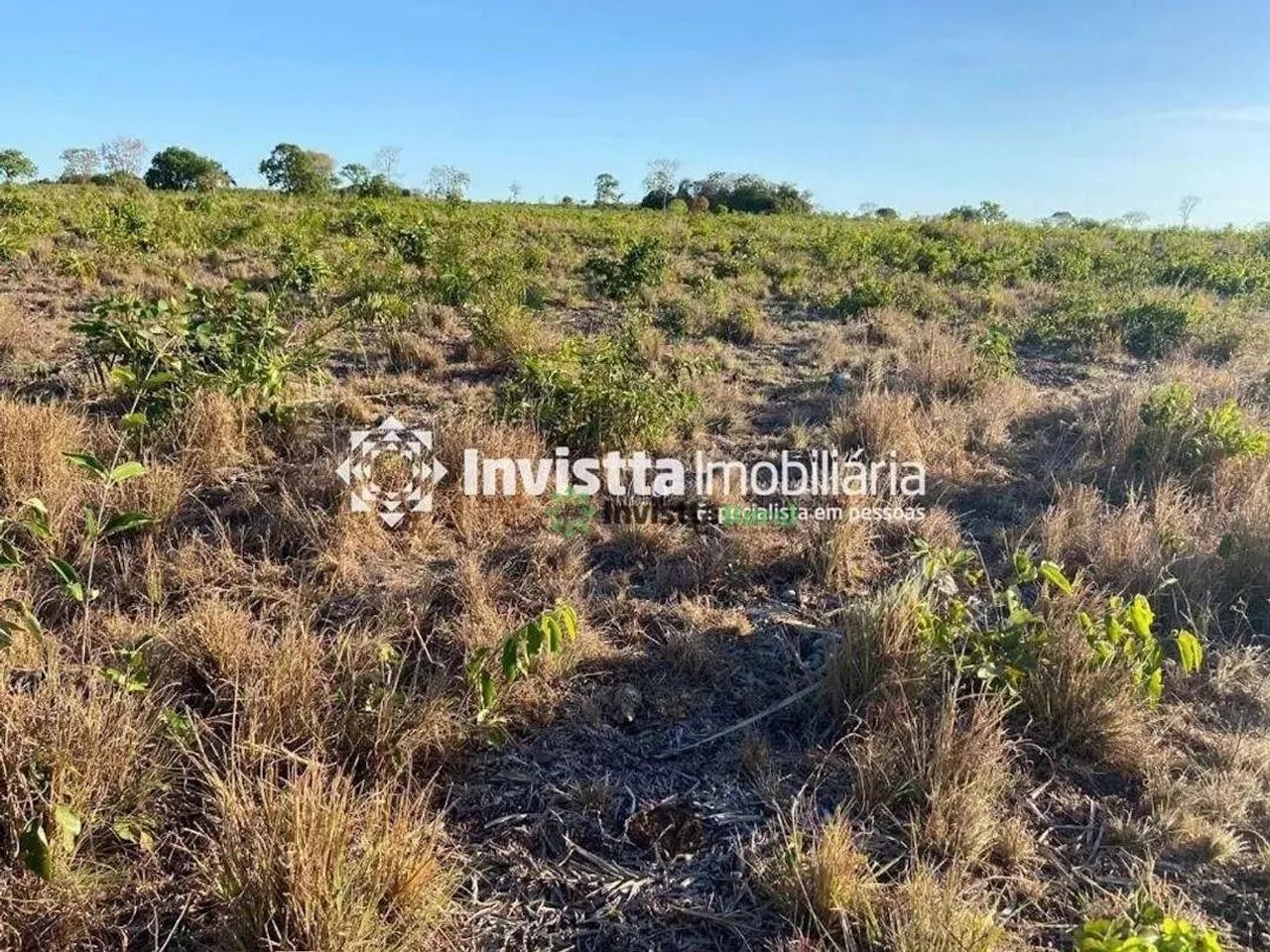 Fazenda à venda com 52 alqueires, excelente logística e aptidão agrícola - Foto 2