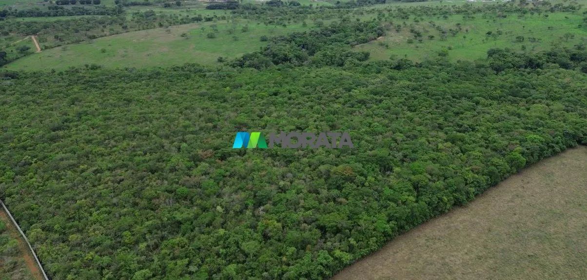 FAZENDA À VENDA - 151 HECTARES - BOM DESPACHO (MG) - Foto 2