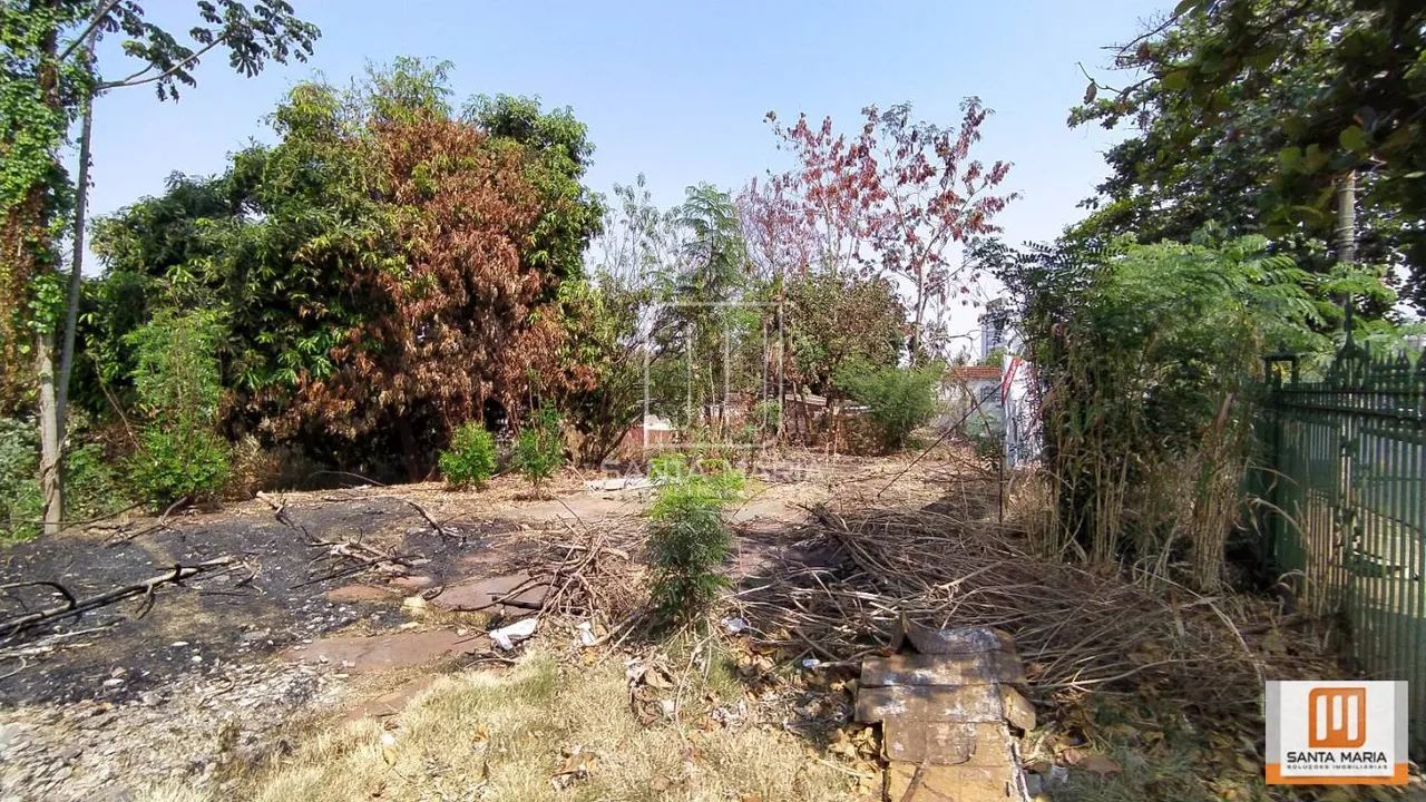 Terreno (terreno normal) - Foto 2